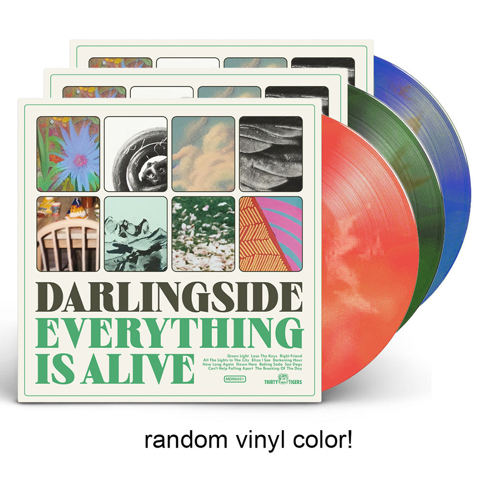 Everything Is Alive Deluxe Random Colored LP