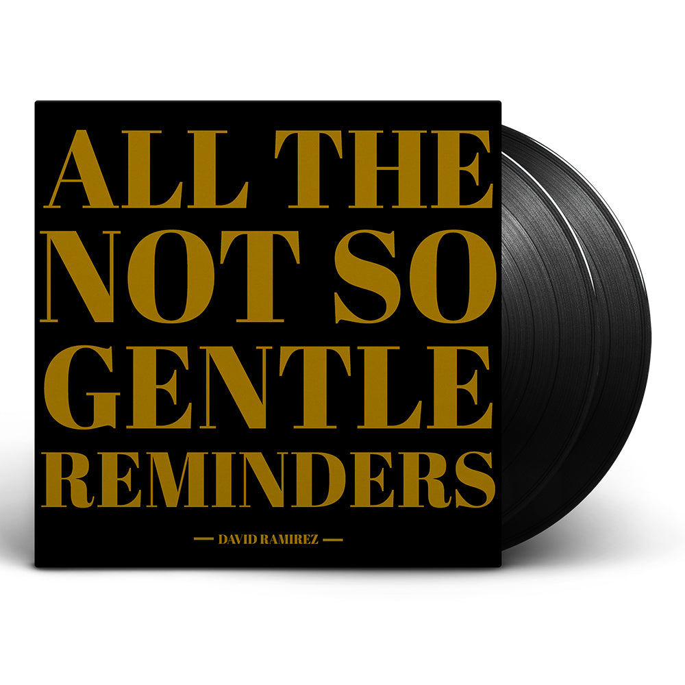 All The Not So Gentle Reminders 2LP