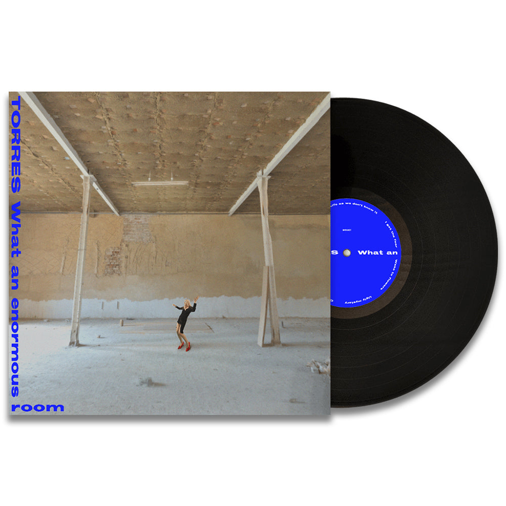 What An Enormous Room LP
