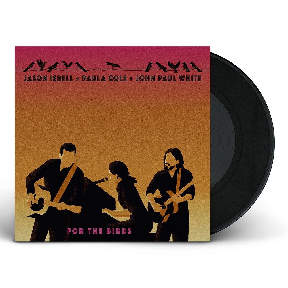 For The Birds 12" Vinyl Single