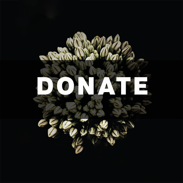 Giving Is Its Own Reward