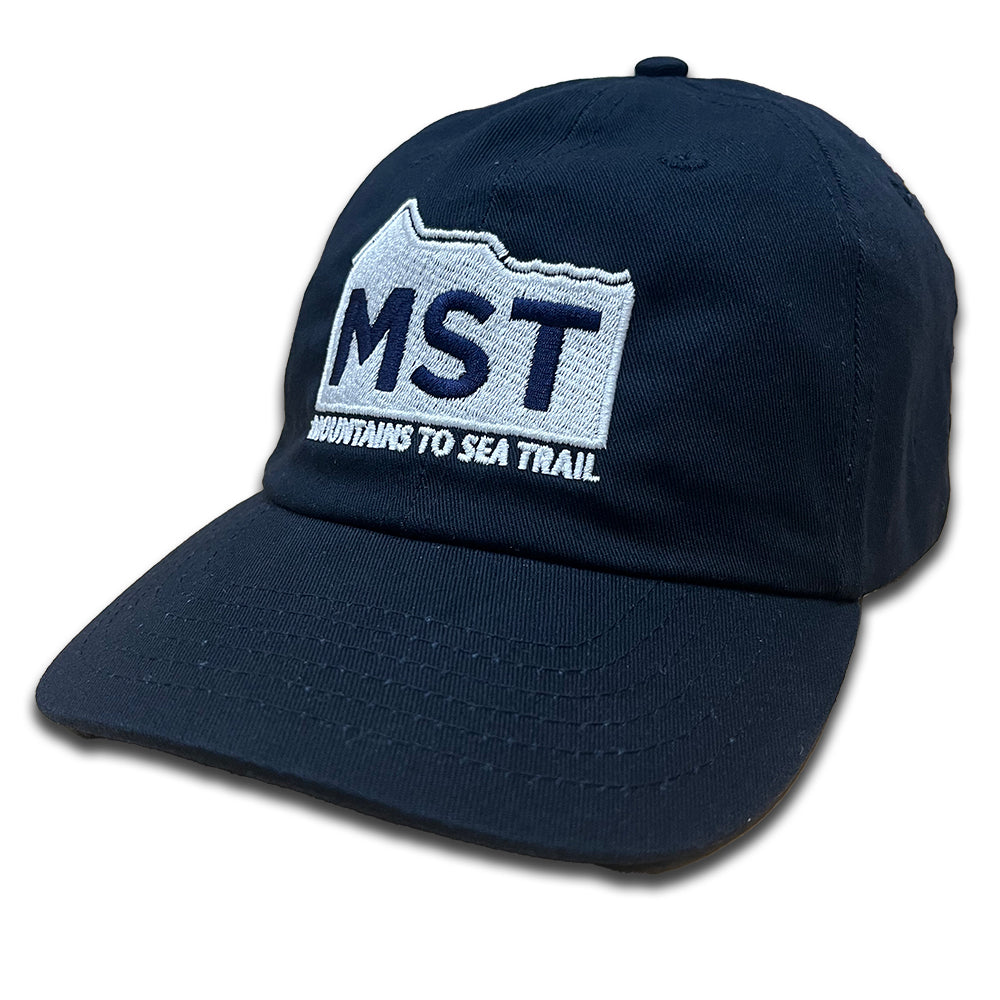 MST Dad Hat