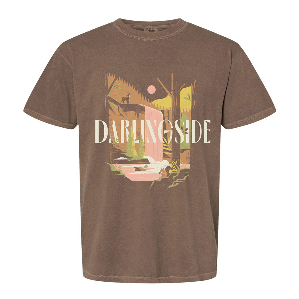 Darlingside Nature T