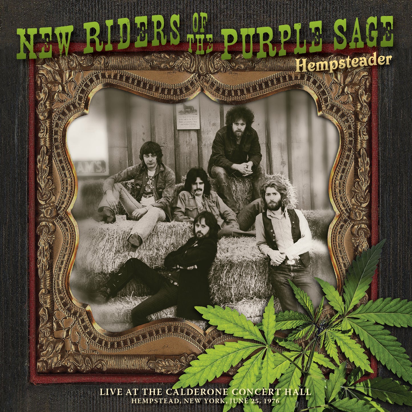 DOWNLOAD: Hempsteader: Live At The Calderone Concert Hall, Hempstead, New York, June 25, 1976 CD