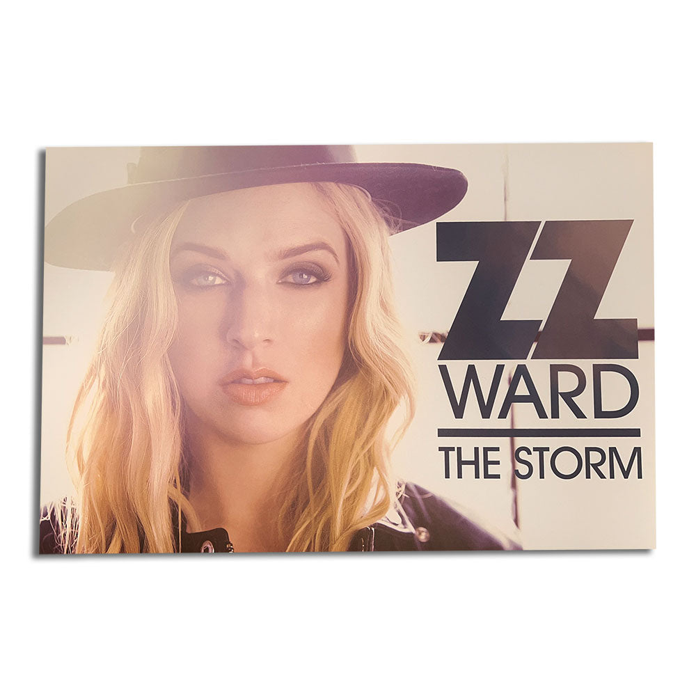 Poster - The Storm