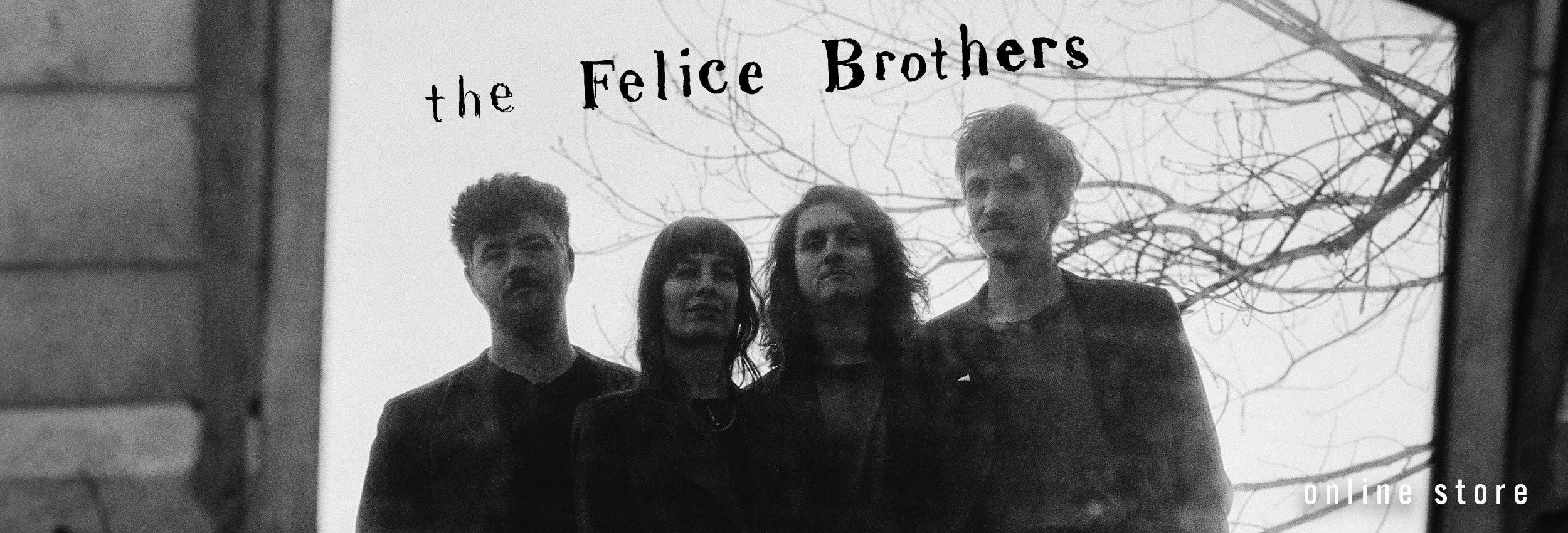 The Felice Brothers
