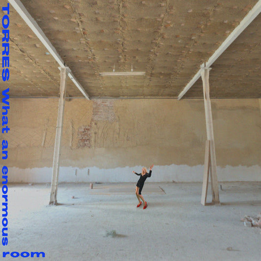 What An Enormous Room Album