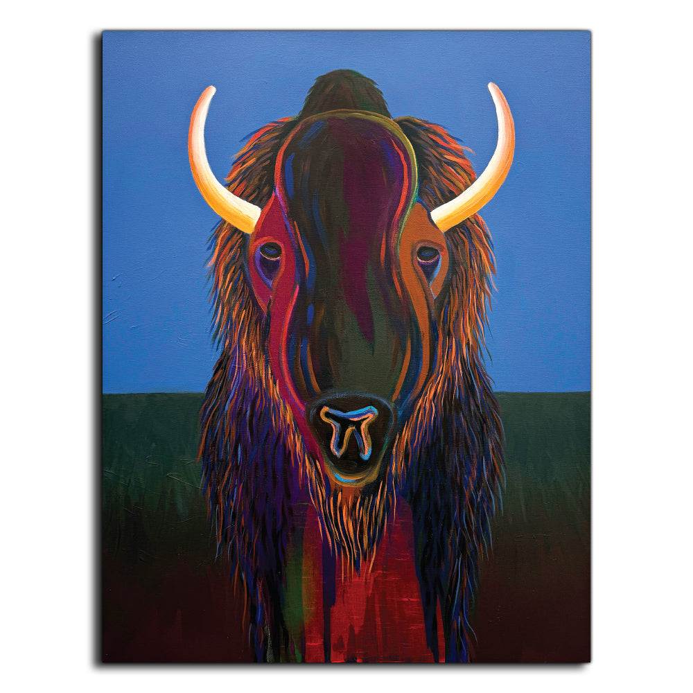 8x10 Print - Bison