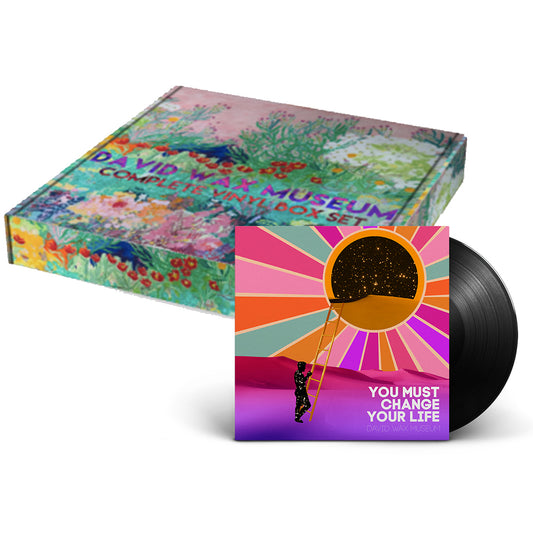 David Wax Museum Vinyl Box Set + You Must Change Your Life LP
