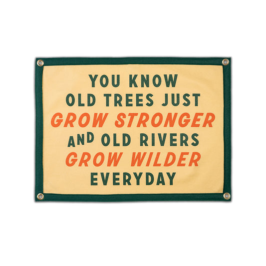 Hello In There - Oxford Pennant Park Ranger Camp Flag