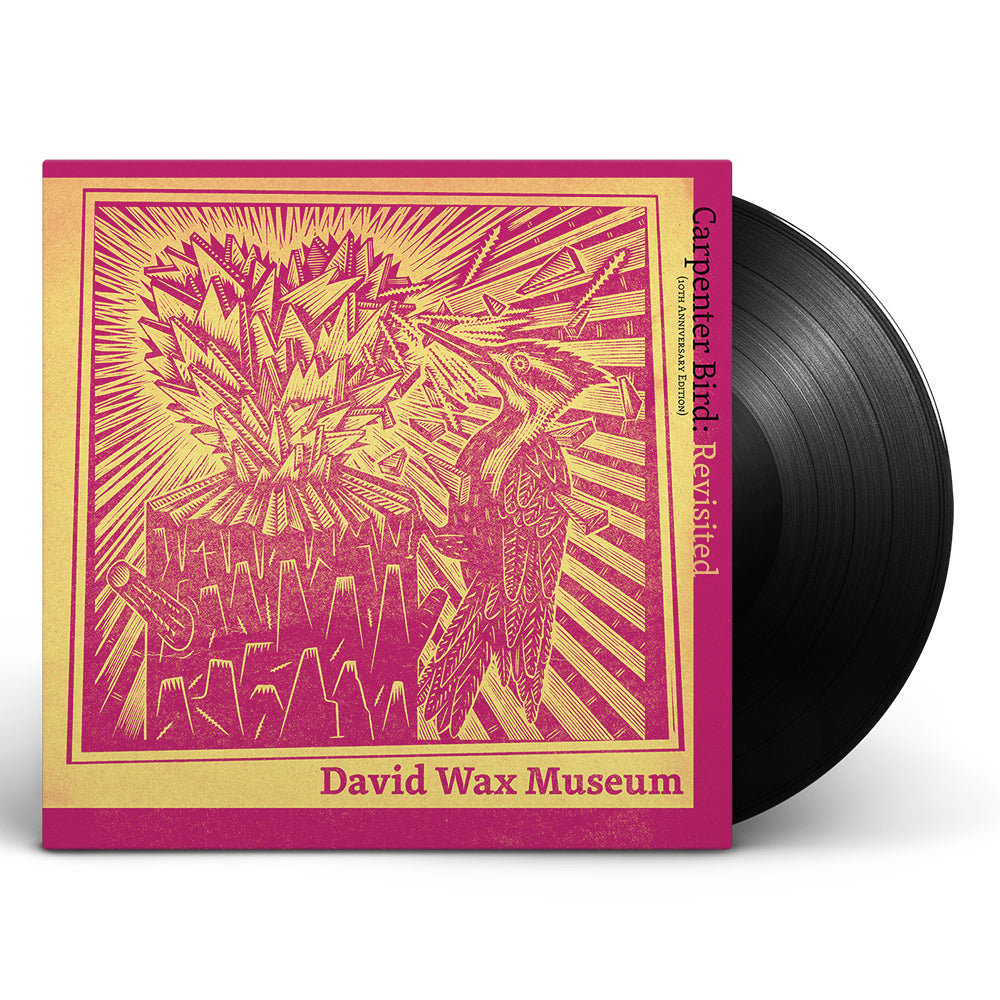 David Wax Museum Vinyl Box Set + You Must Change Your Life LP