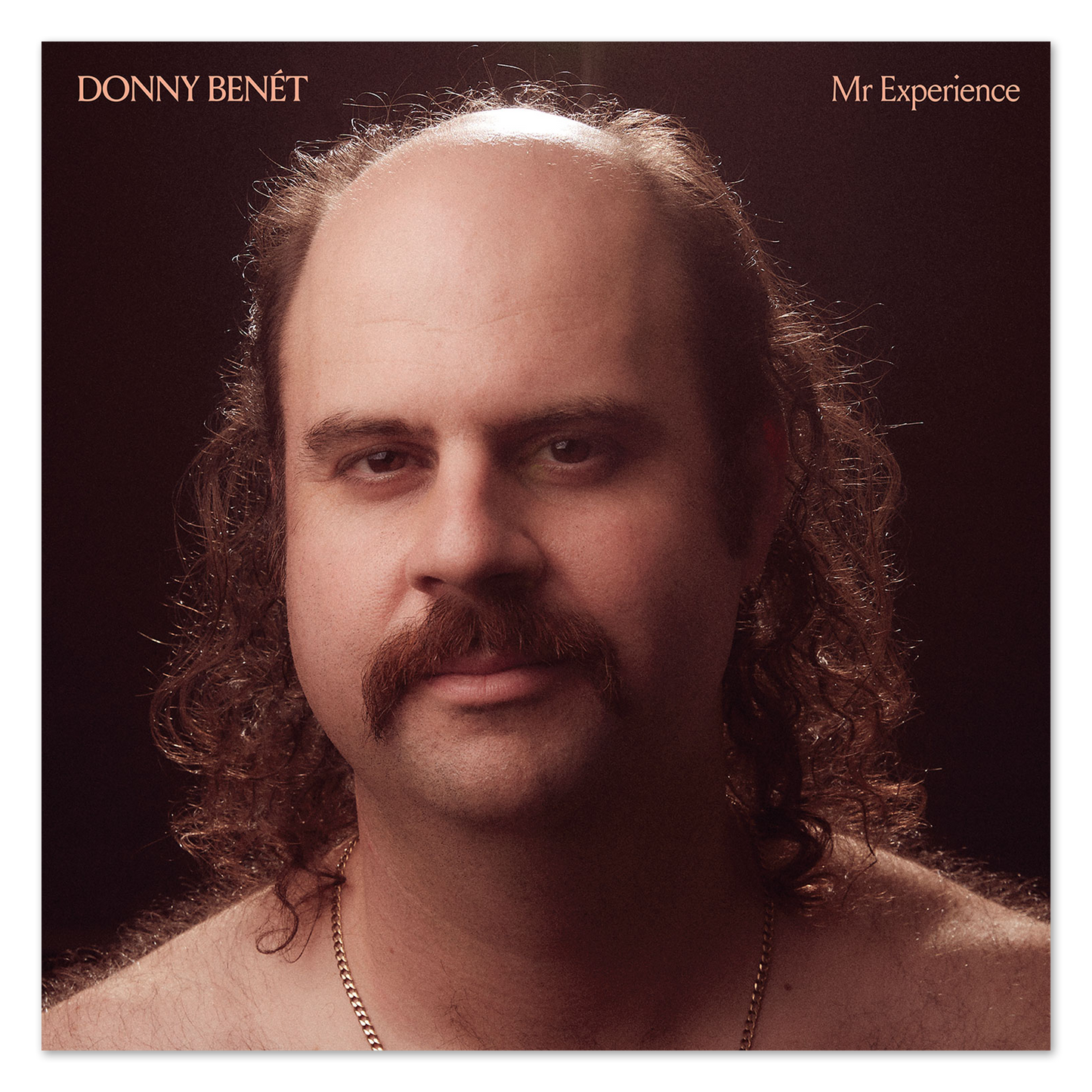 Mr Experience LP