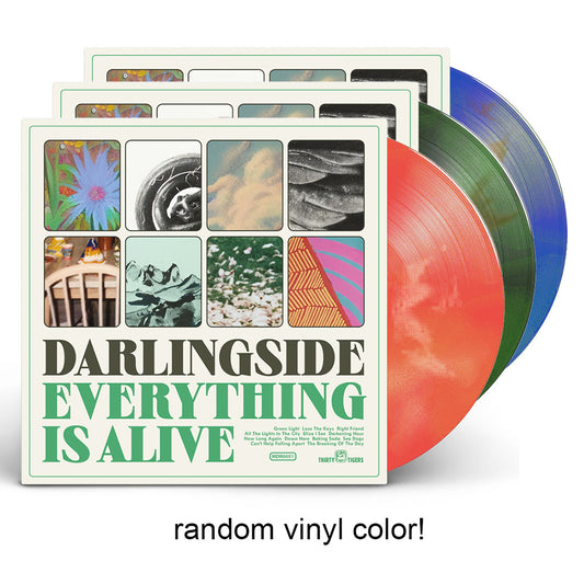 Everything Is Alive Deluxe Random Colored LP