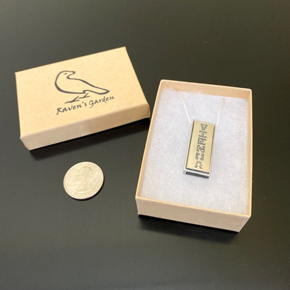 Limited Edition Vienna Logo Flash Drive Necklace + Custom Video Message