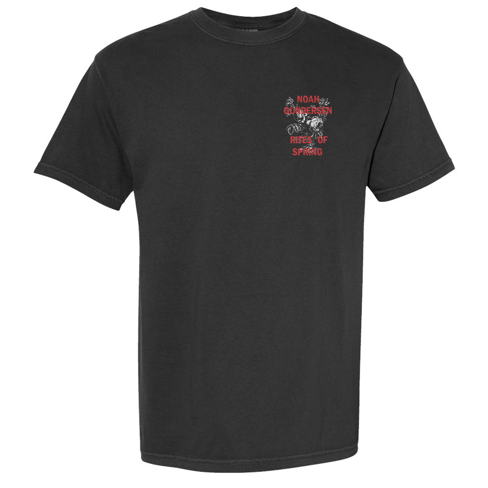 [PRE-ORDER] Rites of Spring T