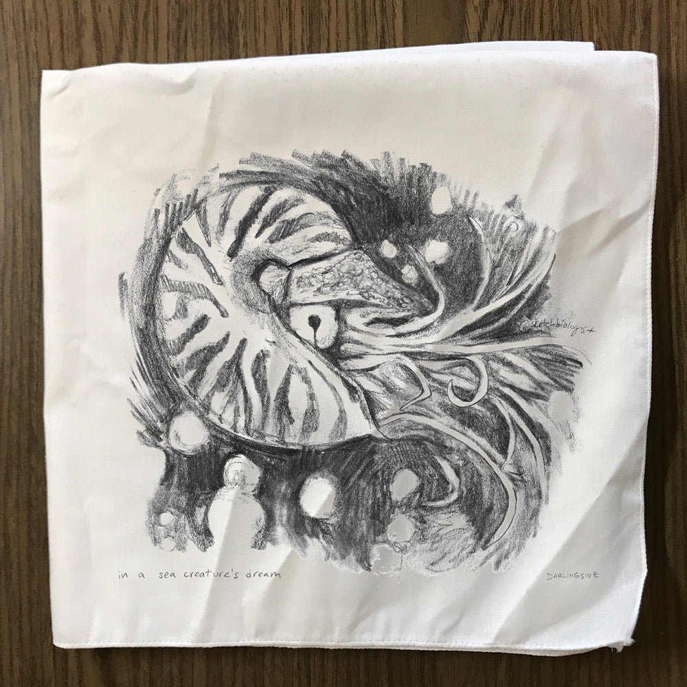 Darlingside Cloth Napkins (Set of 4)