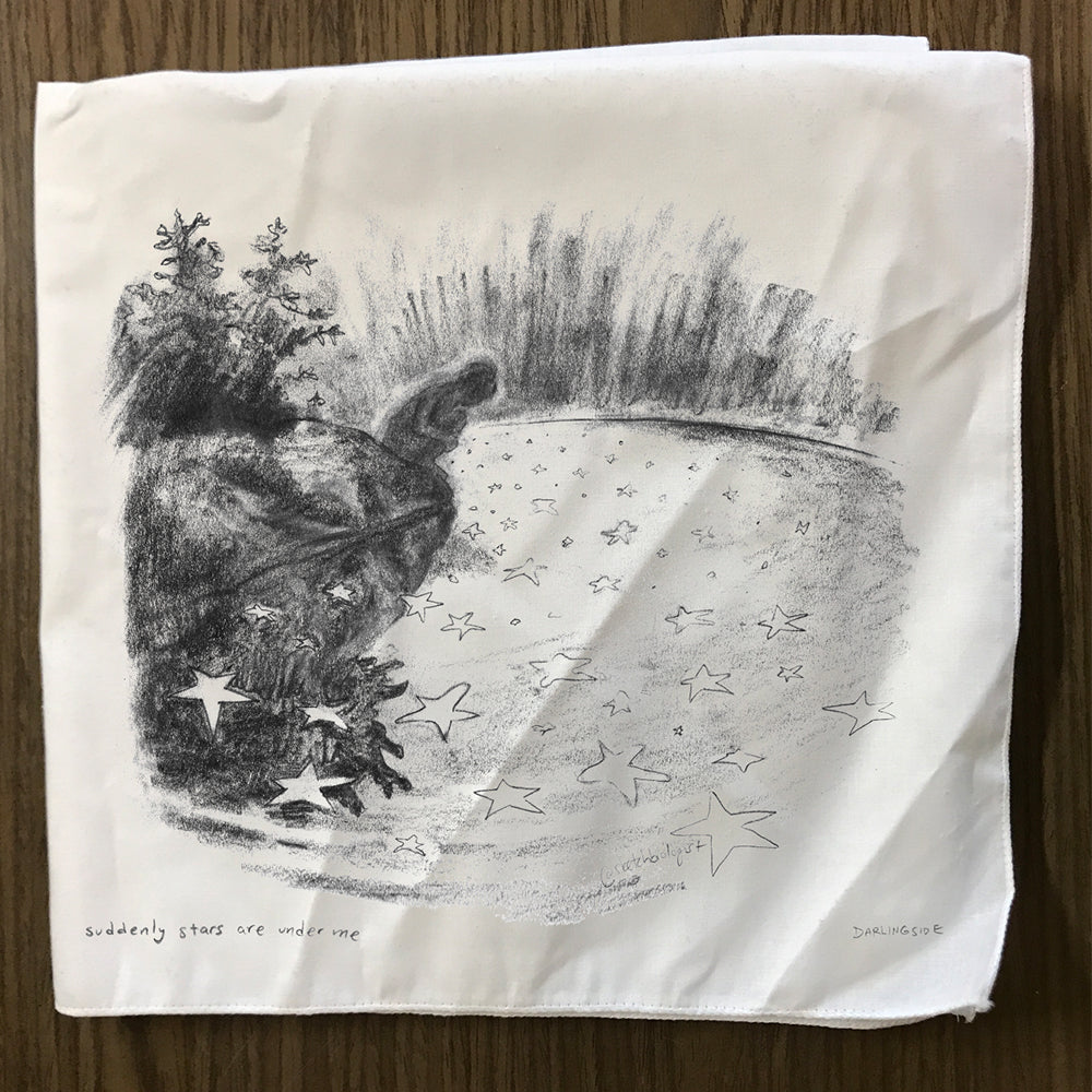 Darlingside Cloth Napkins (Set of 4)