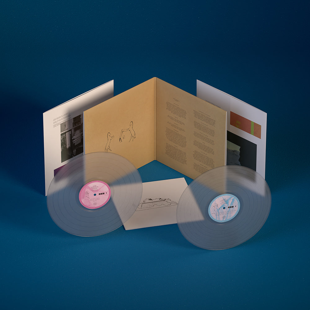 Deluxe Edition Veneer 20th Anniversary 2LP