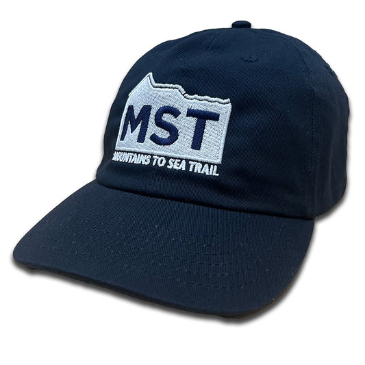MST Dad Hat