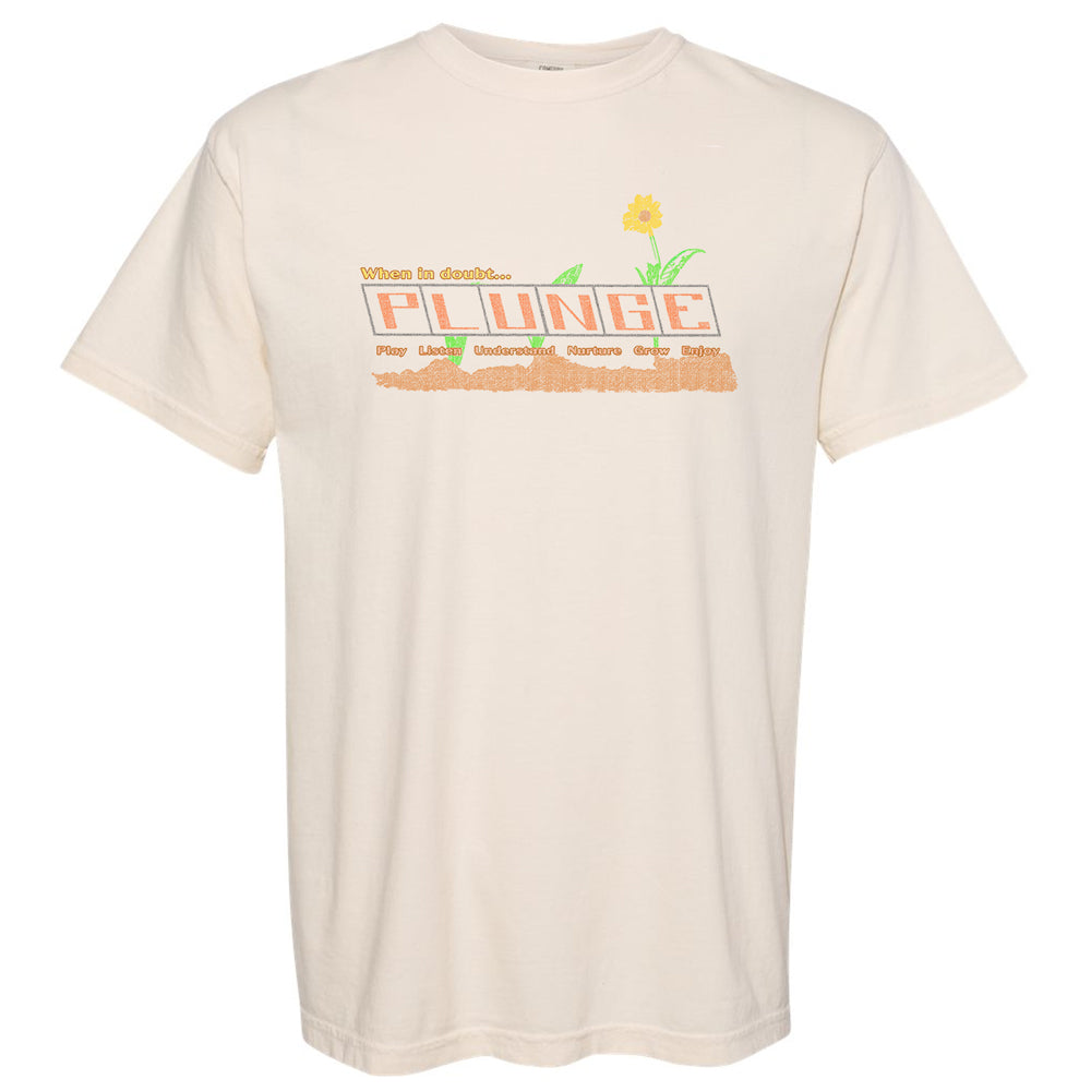 P.L.U.N.G.E Acronym T