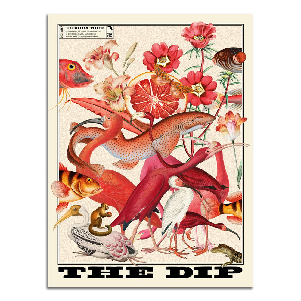 POSTER - The Dip Florida Tour 2025