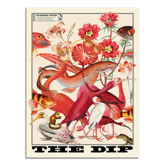 POSTER - The Dip Florida Tour 2025