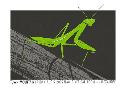 Poster - Town Mountain, Saxapahaw, NC - August 5, 2022