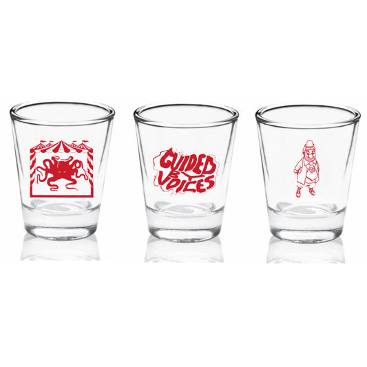Same Place The Fly Got Smashed Shot Glasses