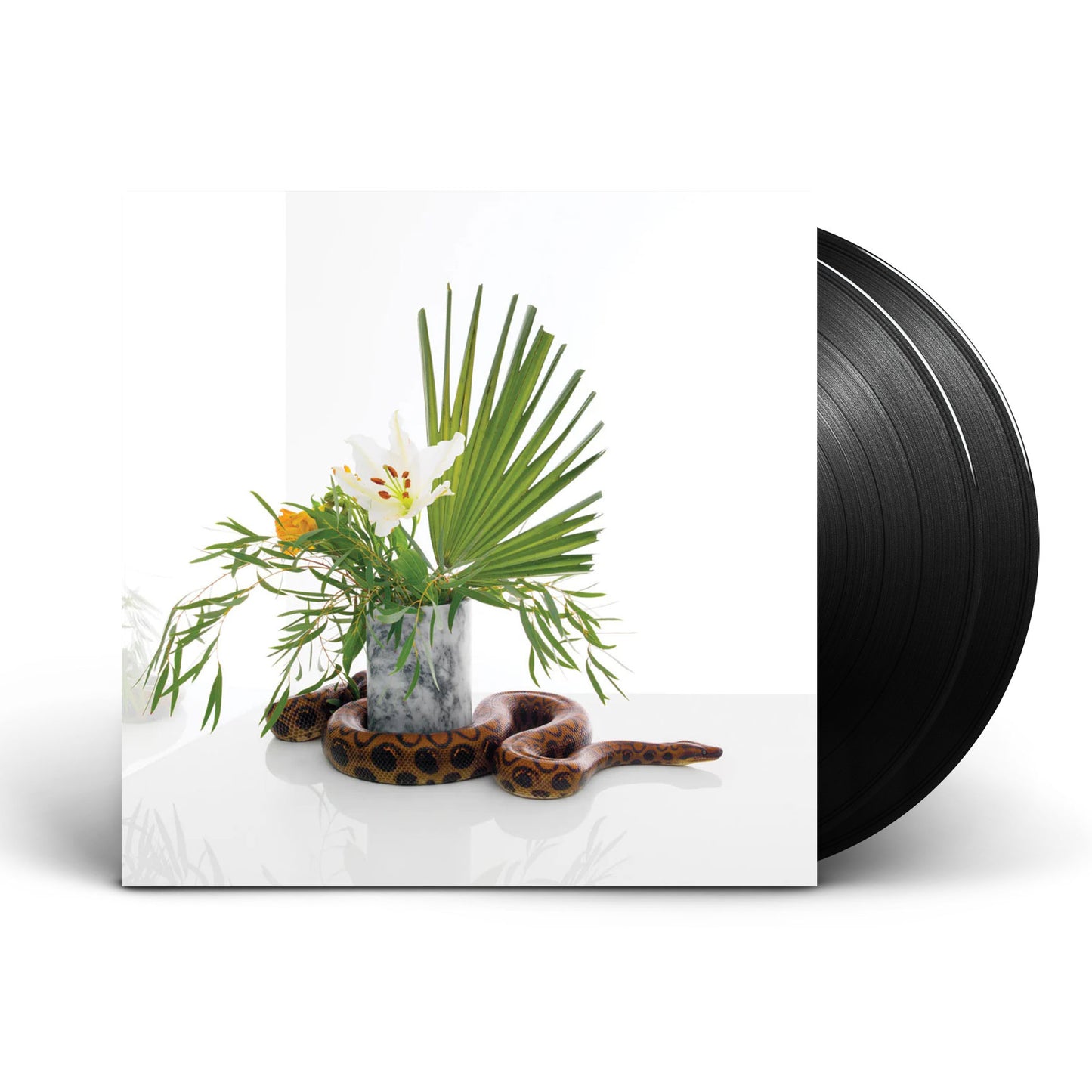 White Noise 2LP